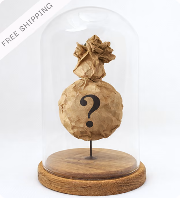 Miniature model of a rustic house with two water towers on a moss-covered rocky sphere, enclosed inside a clear glass dome with a wooden base, labeled with 'FREE SHIPPING' in the corner.