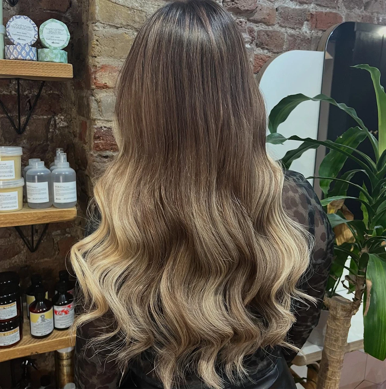 Back view of a person with long, wavy hair styled in a dark to blonde ombre gradient, standing indoors near wooden shelves and a potted plant.