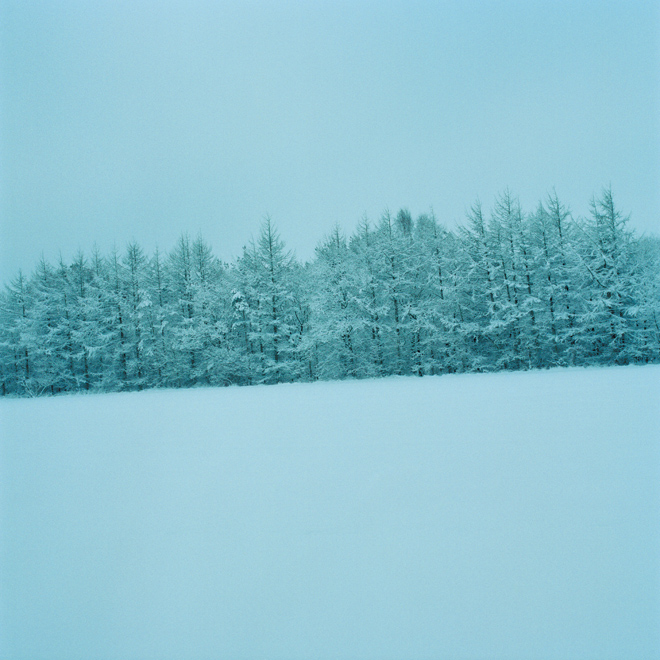 Snow-covered evergreen trees behind a wide snowy field under a pale blue sky.