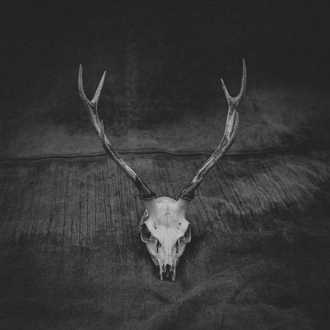 Monochrome photo of a deer skull with antlers resting on textured fabric background.