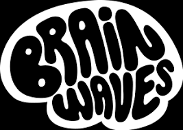 BrainWaves focuses on supporting adolescent mental health by providing schools with evidence-based resources.