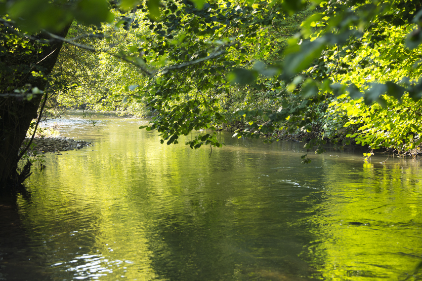 River Yeo that flows through Yeotown.