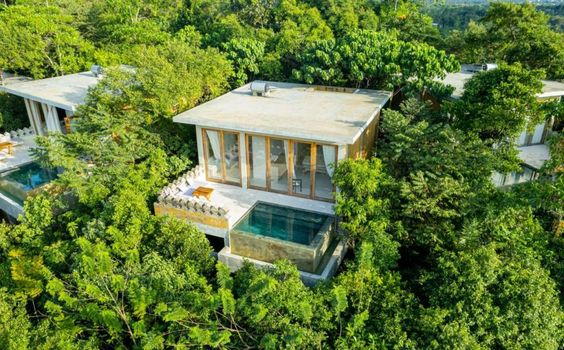 A Malabar Hill villa and its private pool rising above the treetops