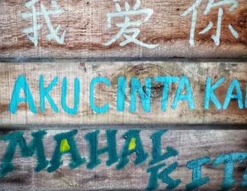 Languages