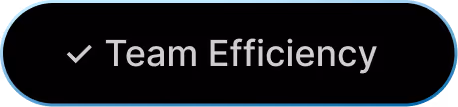 Checkmark icon with text "Team Efficiency"