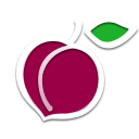 The iPlum brand logo.