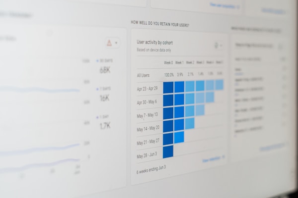 Analytics dashboard for content marketing with 1981 Digital