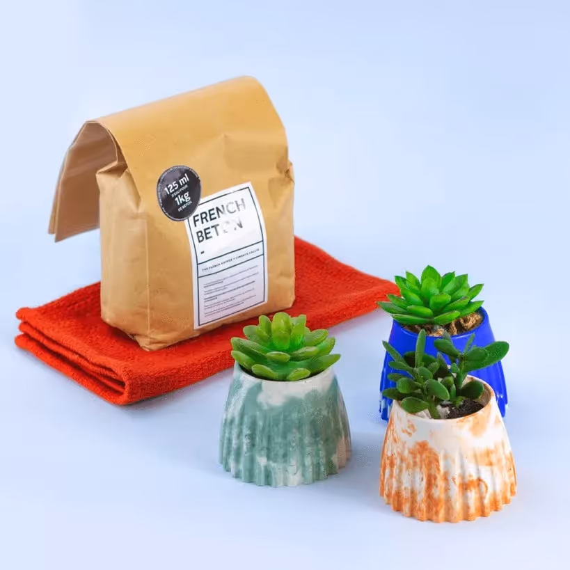 Trois petites plantes succulentes dans des pots colorés devant un sac en papier de béton français posé sur un tissu rouge.
