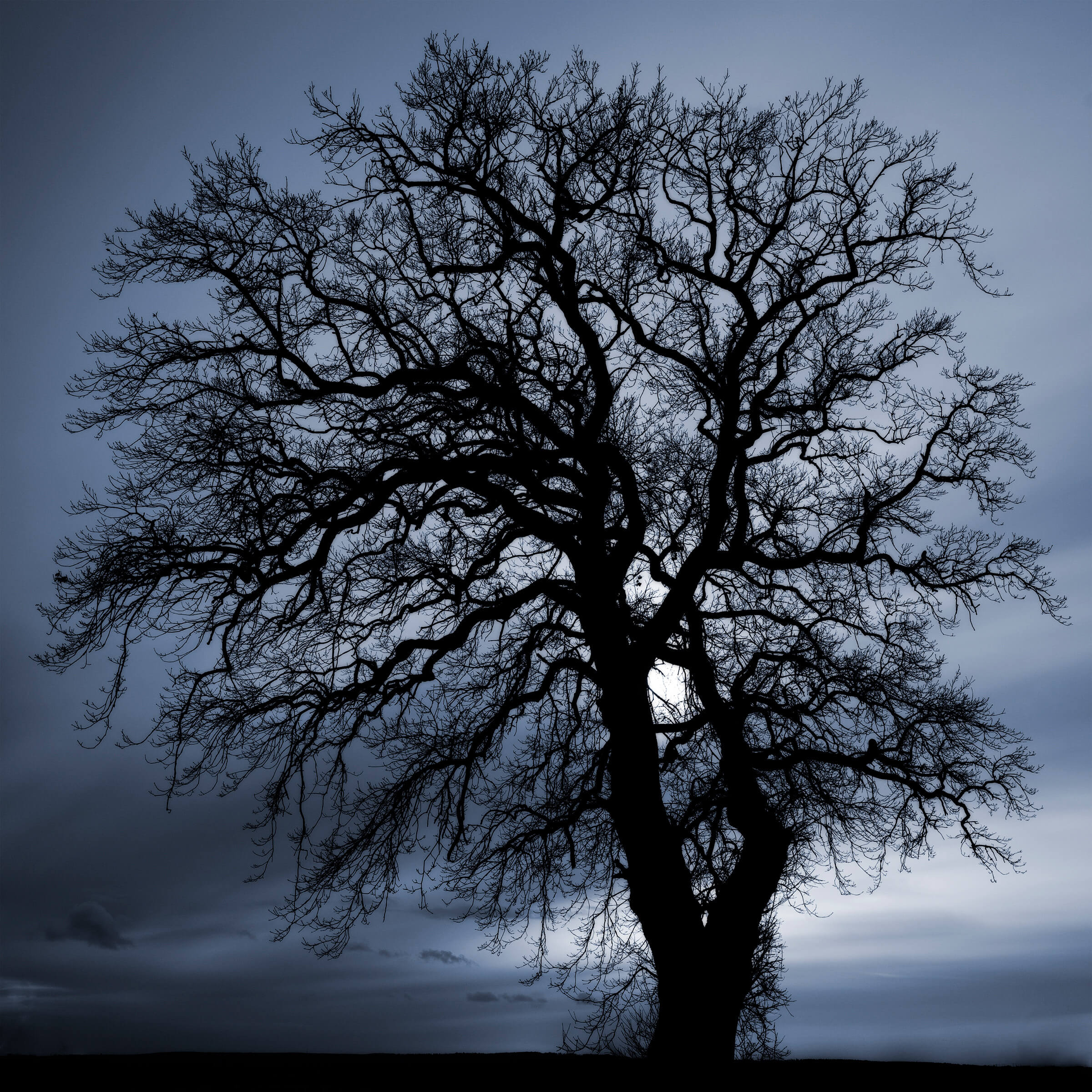 Diversity of Andalucia