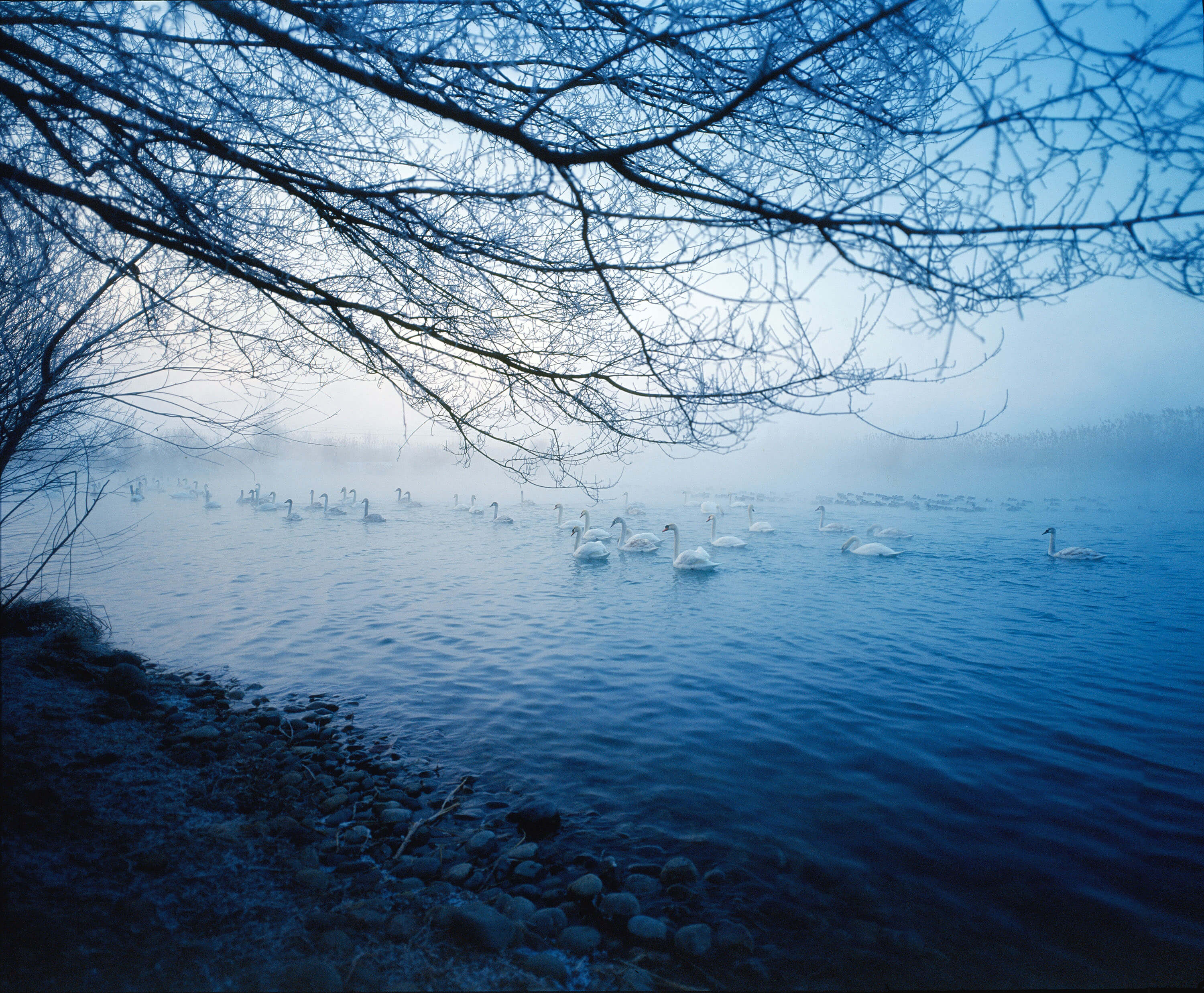 Landscape of the Northern Xinjiang