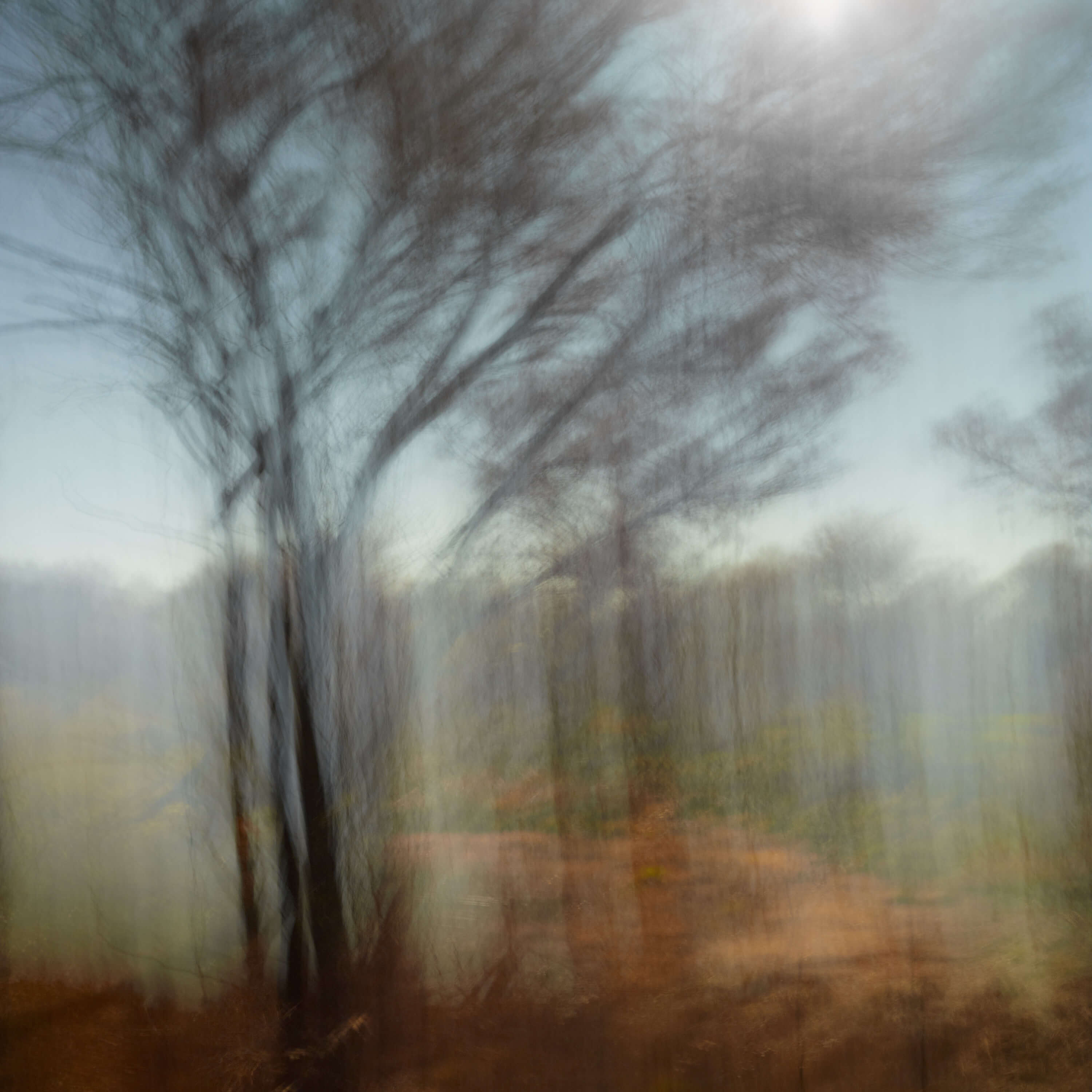 "The Art of Nature" | Karijini