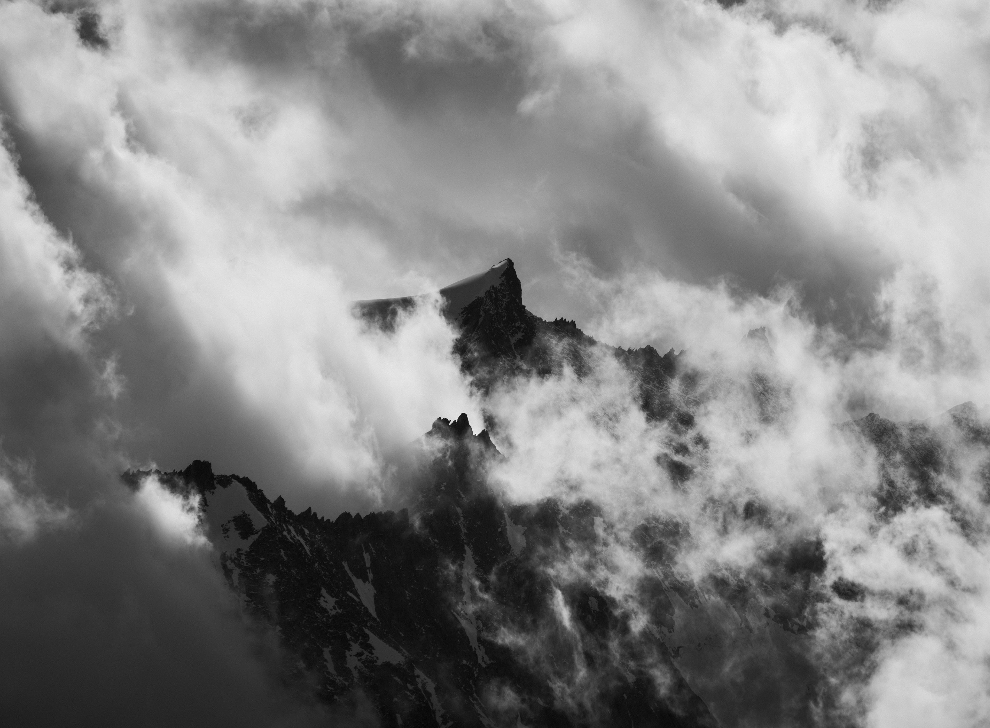 LaLa Land by Joni Hedinger