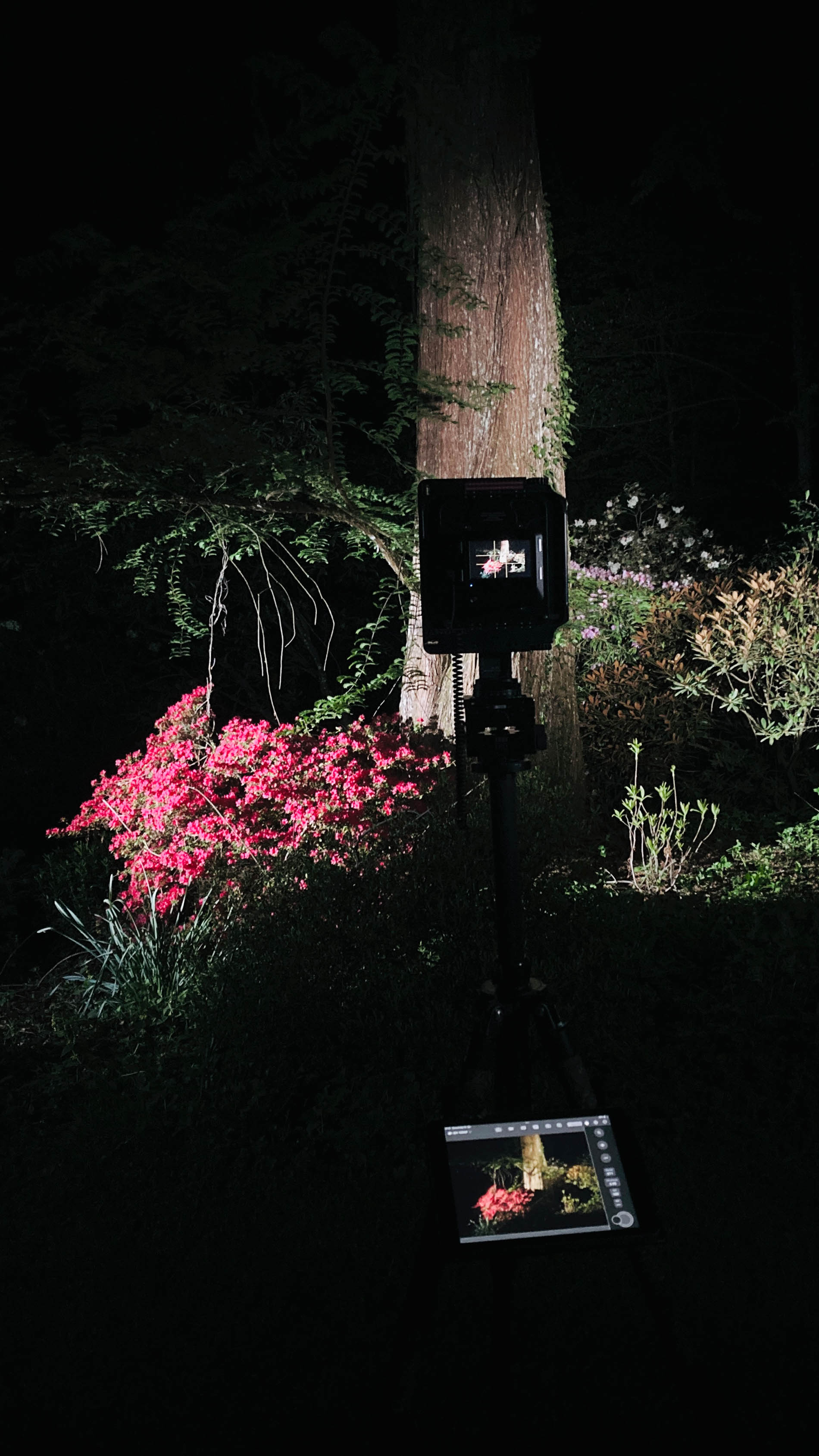 Exhibition wit Gaudenz Danuser - HORTUS SPATIALIS – The Geography of Silence