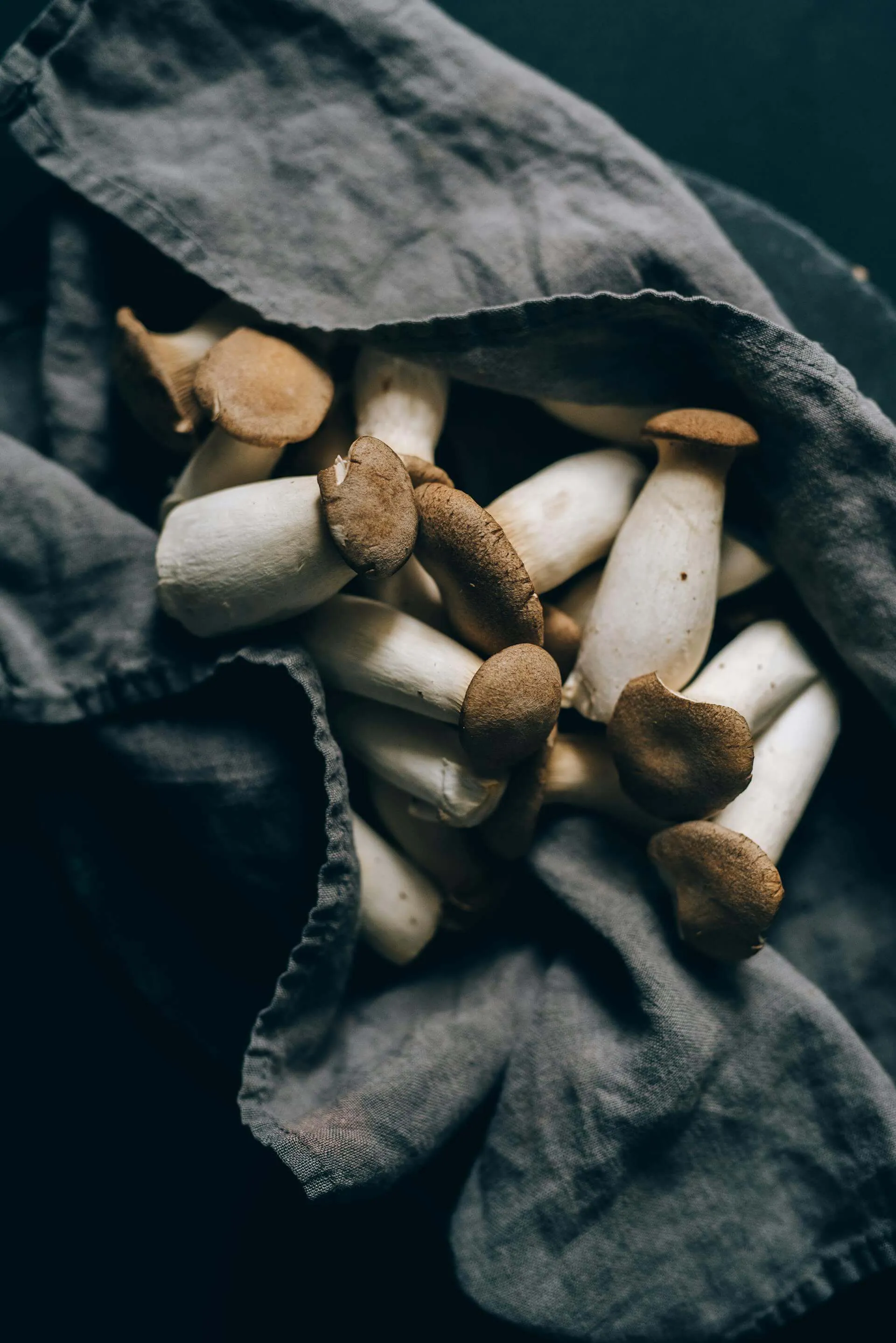 mushrooms