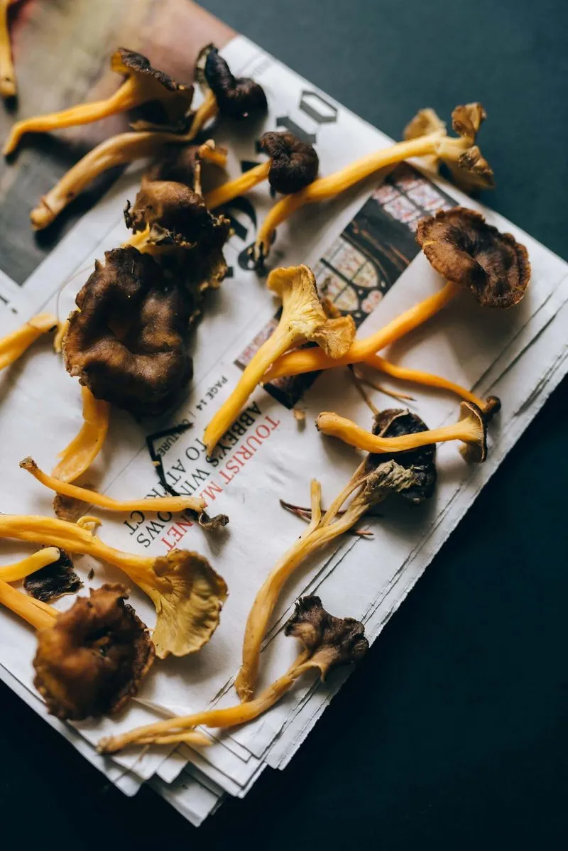mushrooms