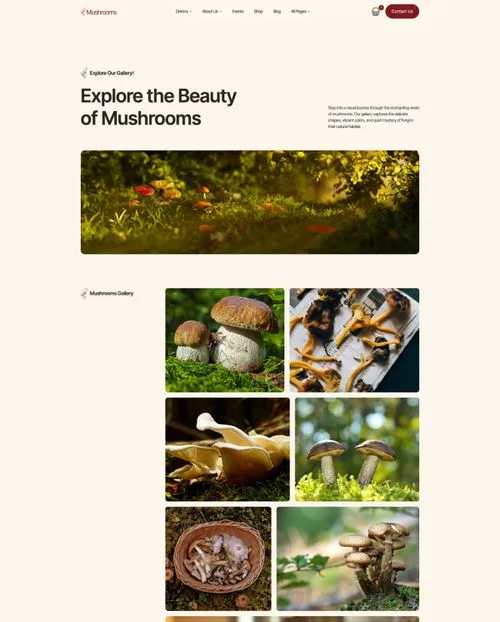 Page screen