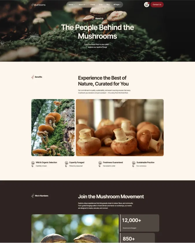 Page screen