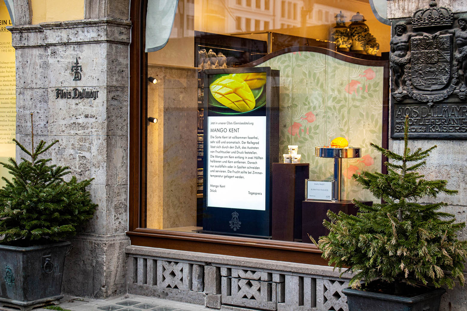 Schaufenster von Alois Dallmayr mit digitalem Display, das Mango Kent und dessen Beschreibung zeigt, flankiert von zwei Tannenbäumen in Töpfen.