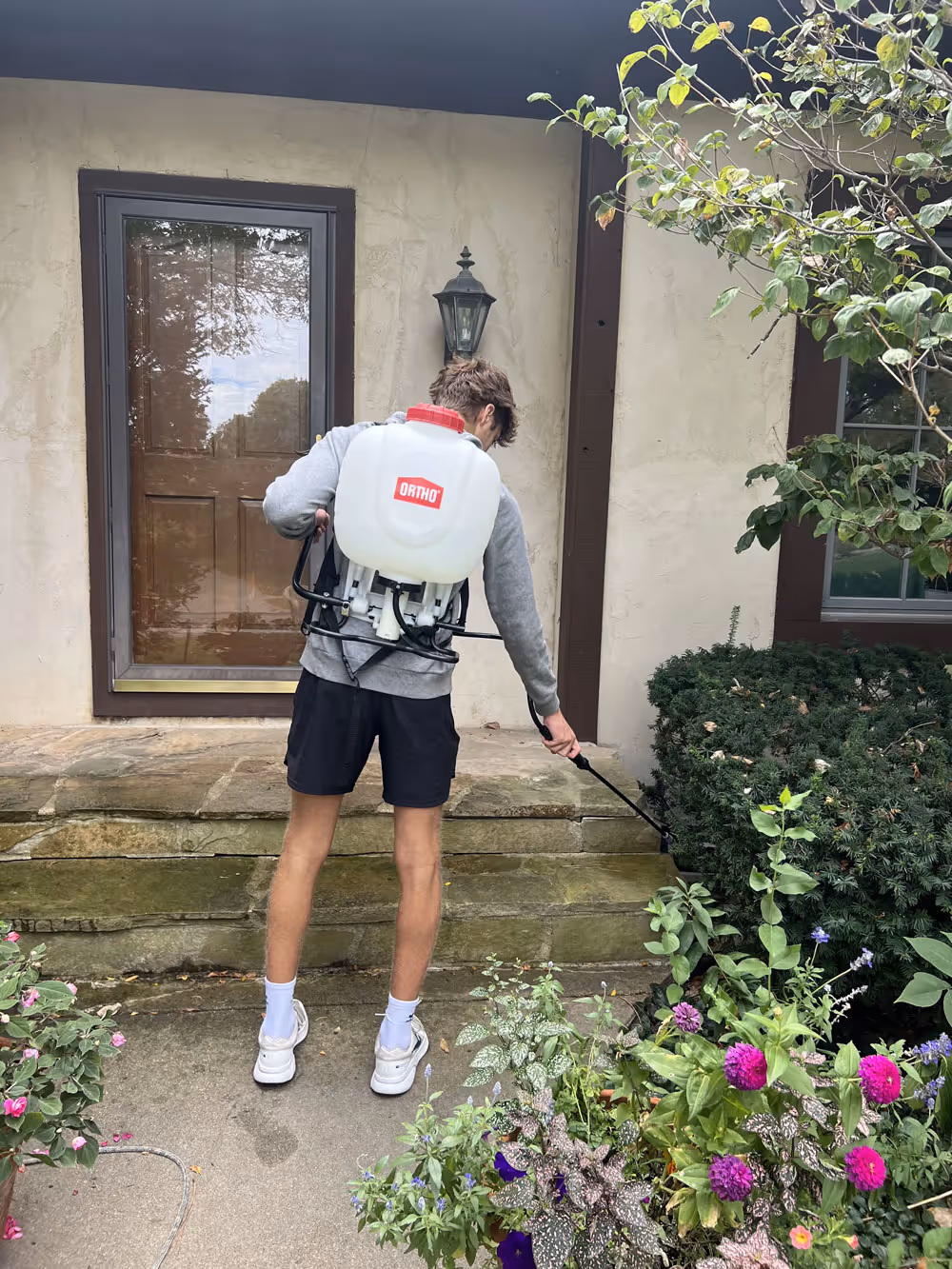 Professional weed removal in progress using a special spray solution.