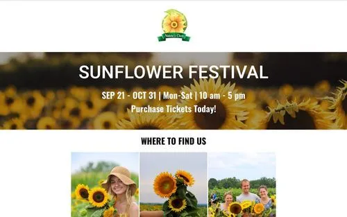 Sunflower Festival banner with event dates, times, and photos of people enjoying sunflowers in a field.