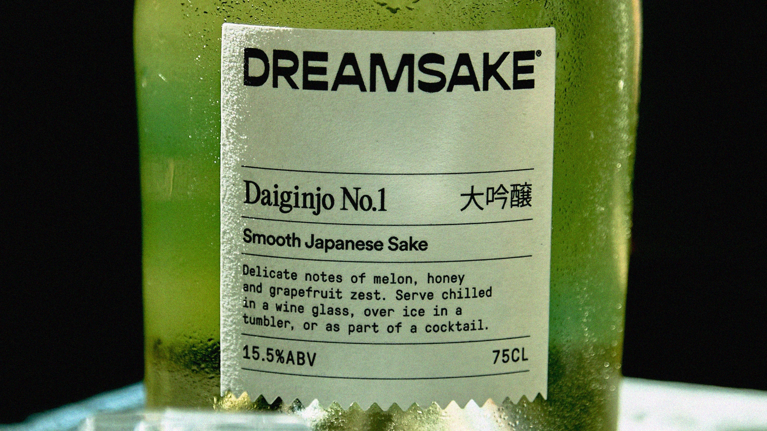 DREAMSAKE