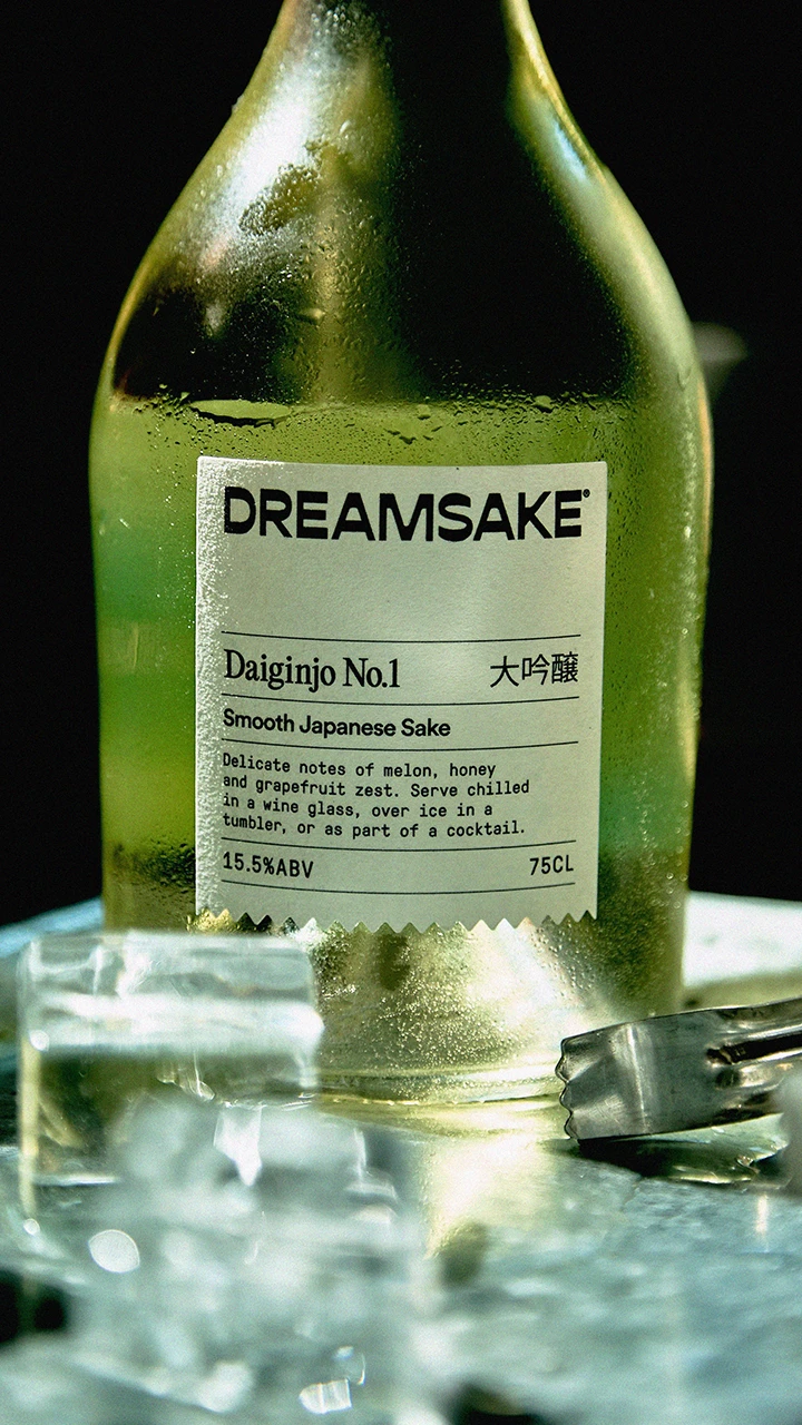 DREAMSAKE