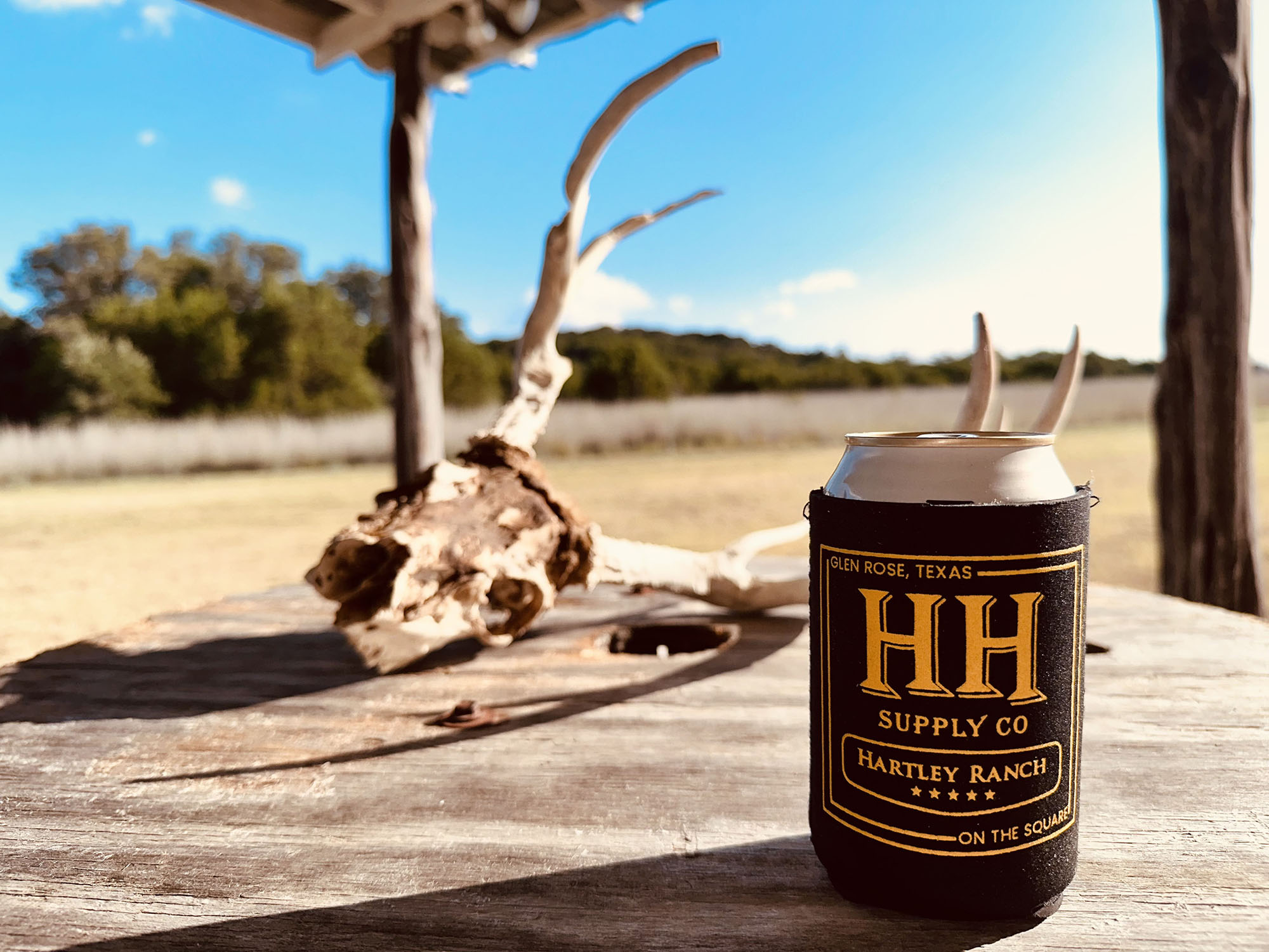 image of a main course assortment for a chinese restaurant