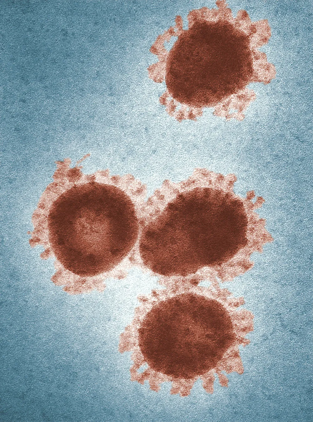 molecules