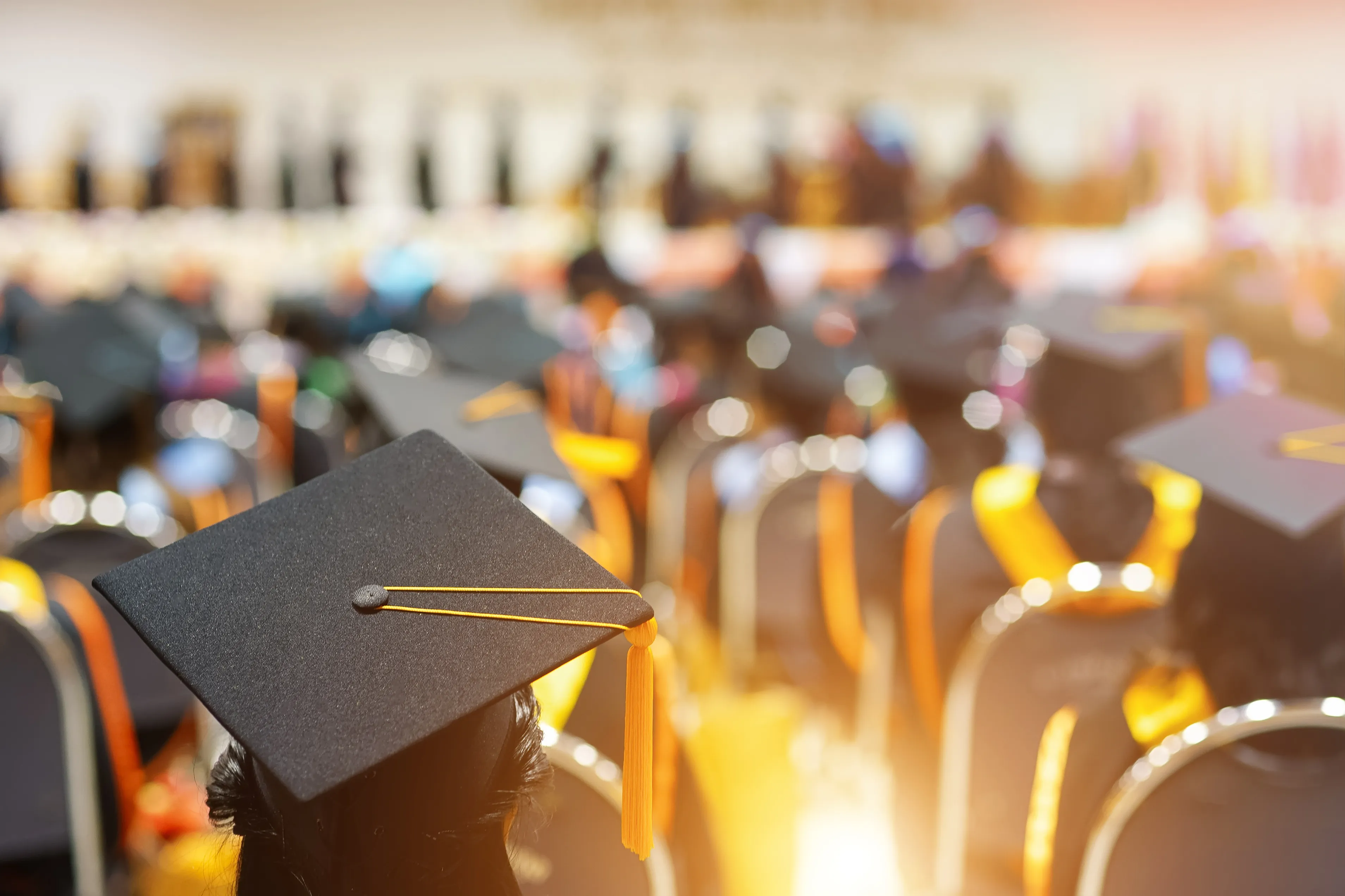 Customer Mapping in Admissions: How Educators Can Help Students Grow From Day One