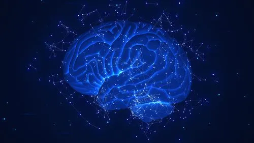 Brain