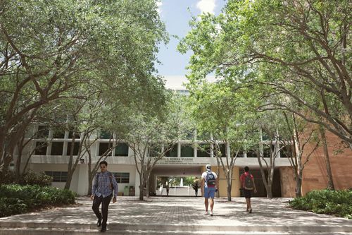 Streamlining educational operations with Salesforce automation