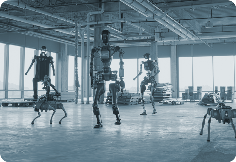 Robotics & Physical AI