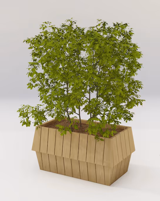 Nordlys plante og blomsterkasse