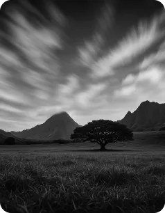 A black and white bold shot of kualoa ranch