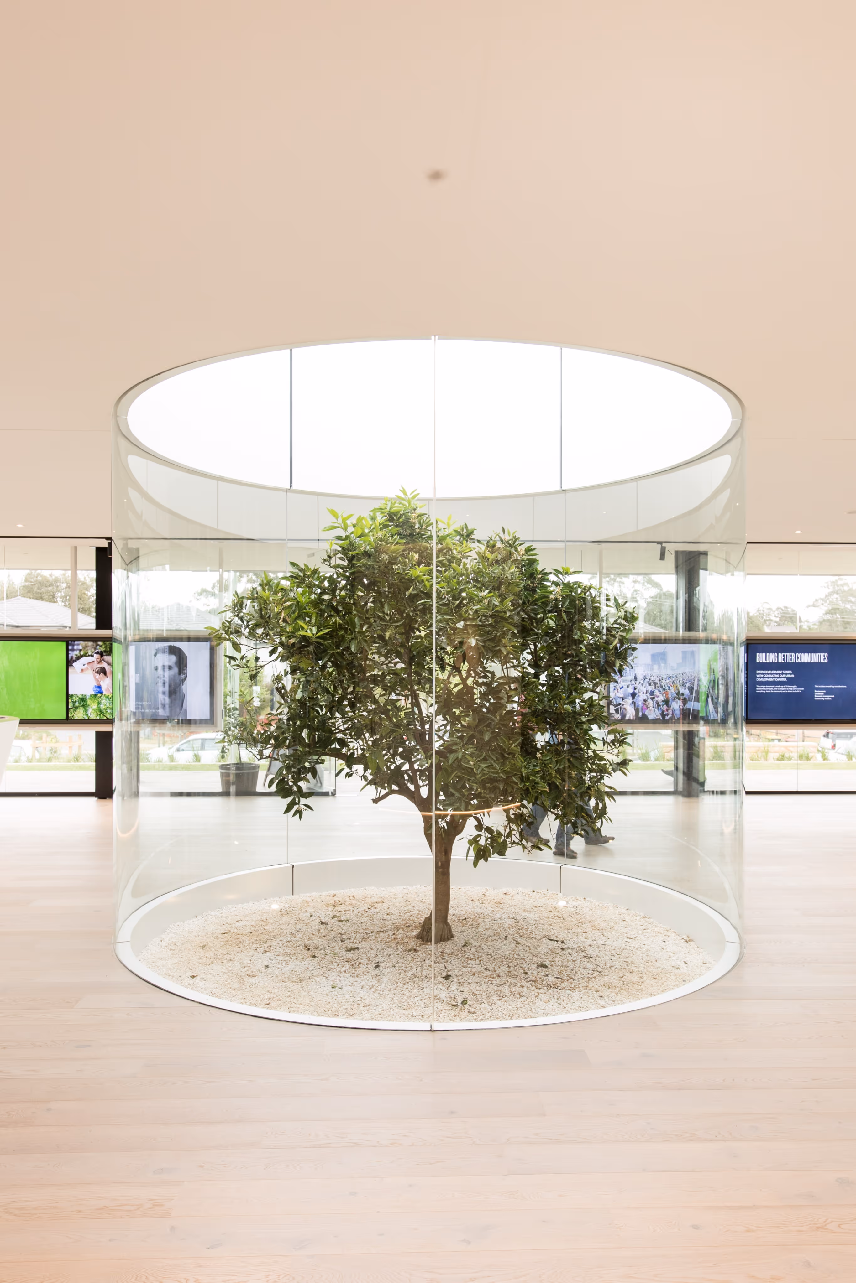 Indoor tree planted in a circular bed of white gravel, enclosed by a cylindrical glass structure under a skylight in a modern exhibition or corporate space. The minimalist design emphasizes sustainability, biophilic architecture, and eco-conscious interior design.