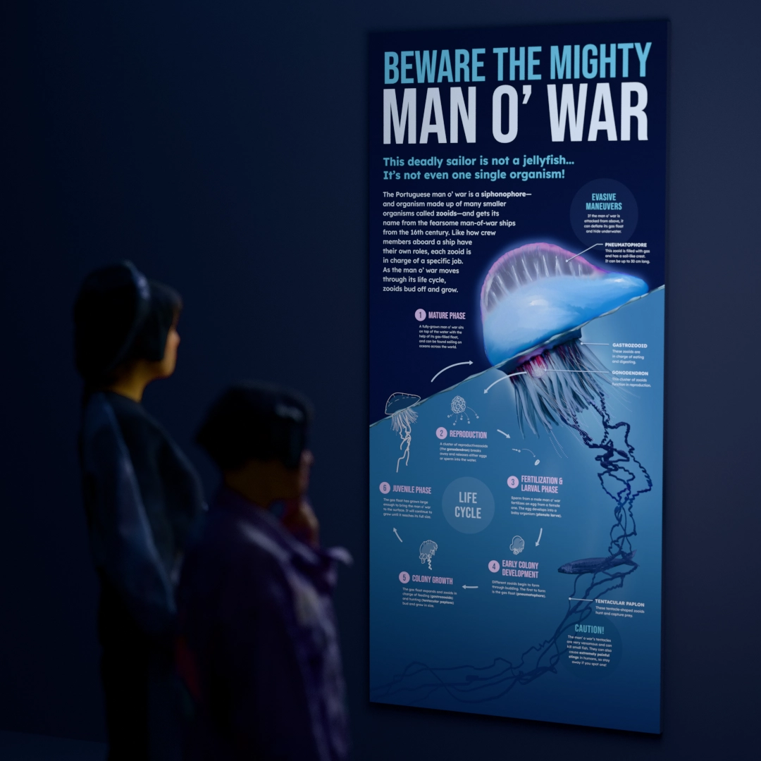 Mockup showing the poster being displayed on a wall