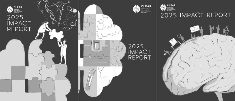 Rough sketches depicting various ideas for impact report cover illustrations.