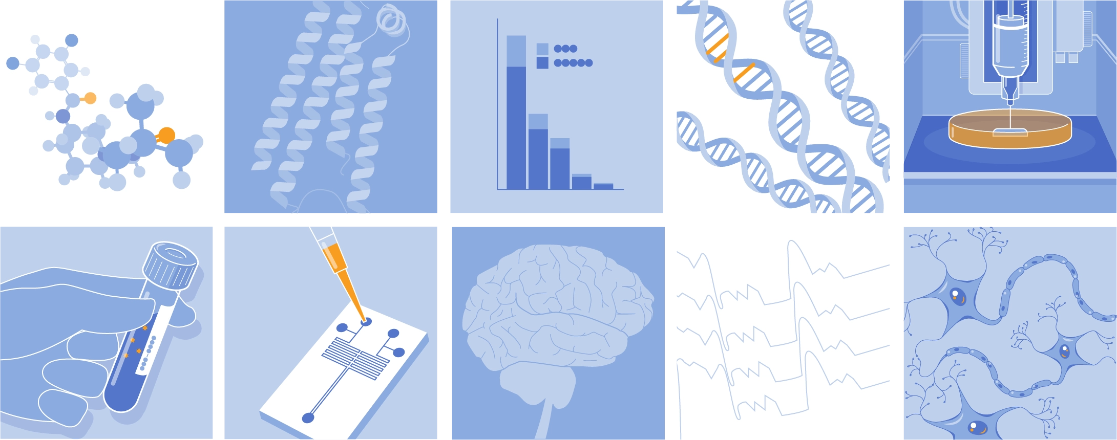 Graphics representing various areas of dementia-related research.