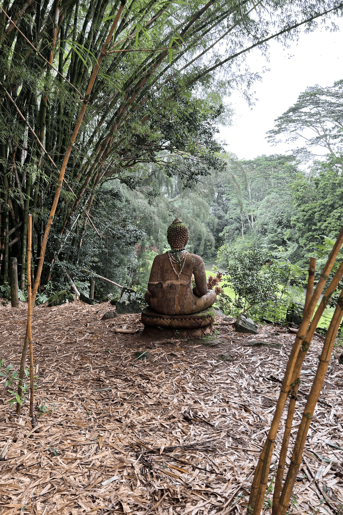Stone stature of the Buddha in a bamboo forest