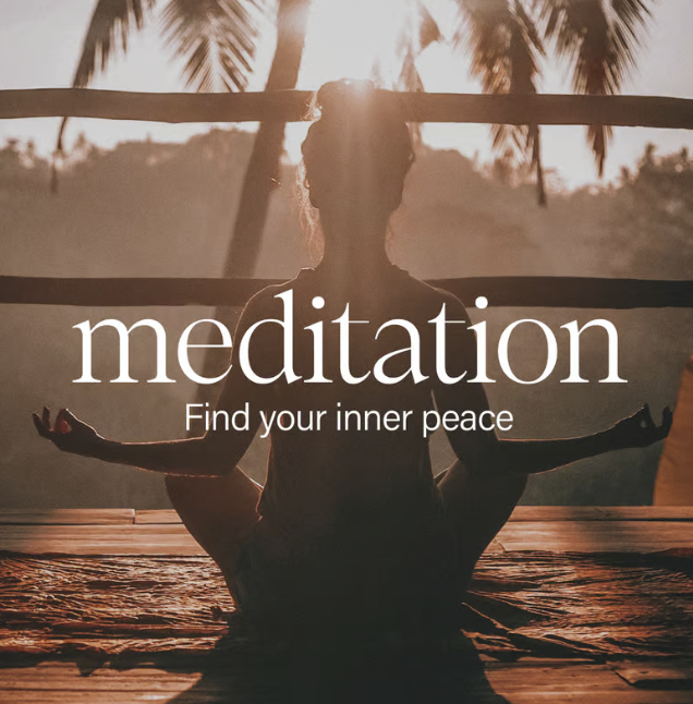 Mindfulness for CEOs