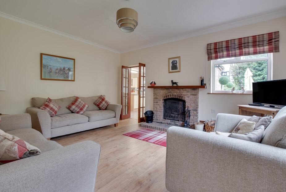 Living room with fireplace, two sofas, and television by window