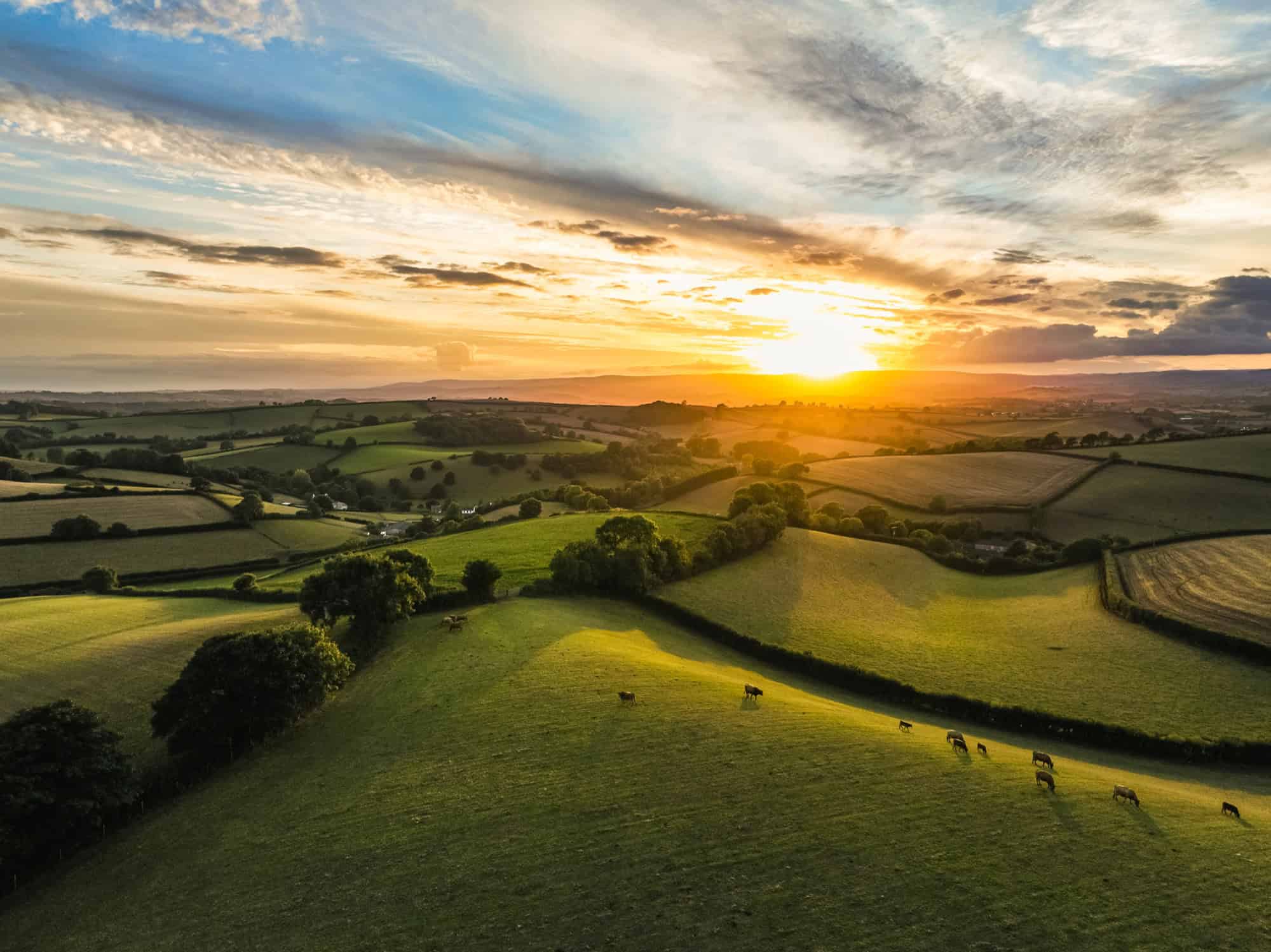 Aerial view of the rolling Devon countryside at sunset, featuring golden fields, hedgerows, and distant hills.