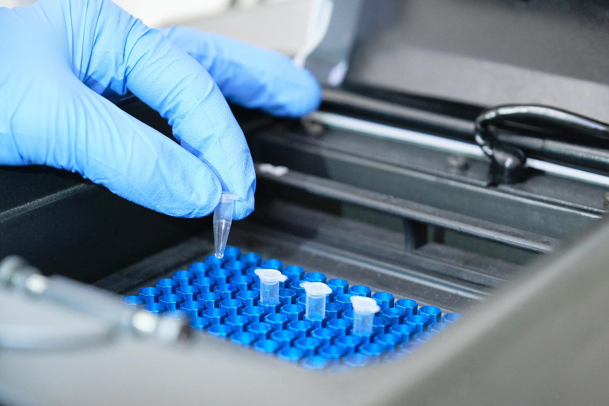 What Are PCR Tests?