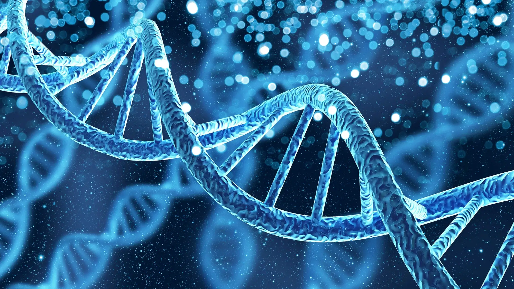 Unearthing Genetic Clues: Neanderthals, Denisovans, and Human Diseases