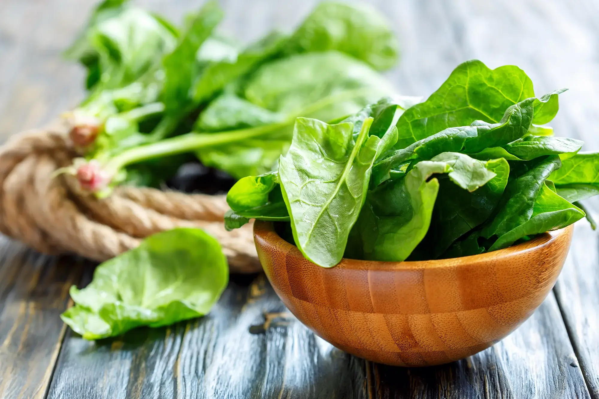 Spinach Extract's Potential Role in Enhancing Wound Healing in Diabetes