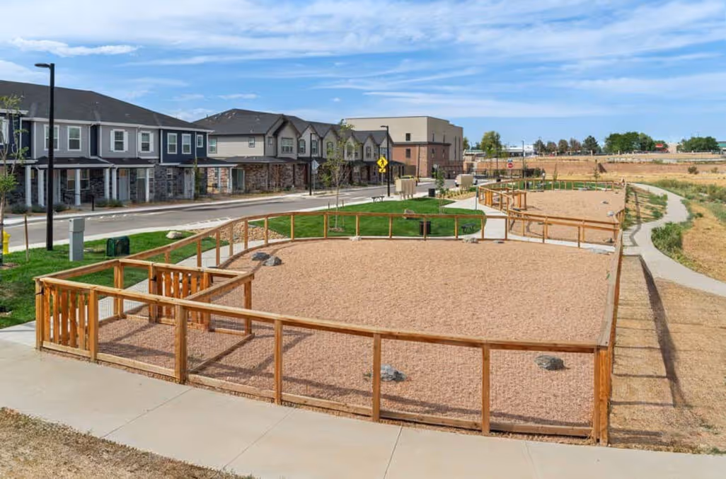 dog park