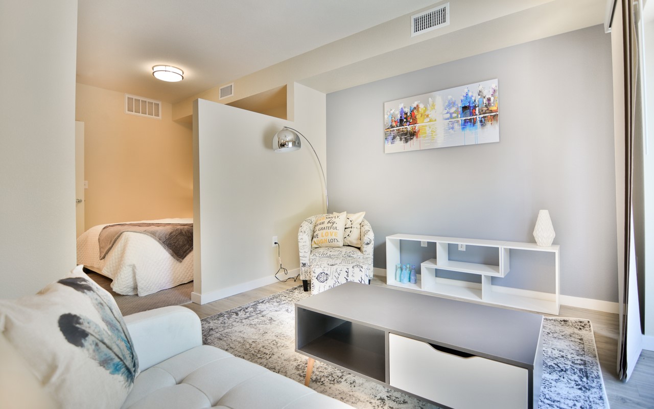 Living room and bedroom