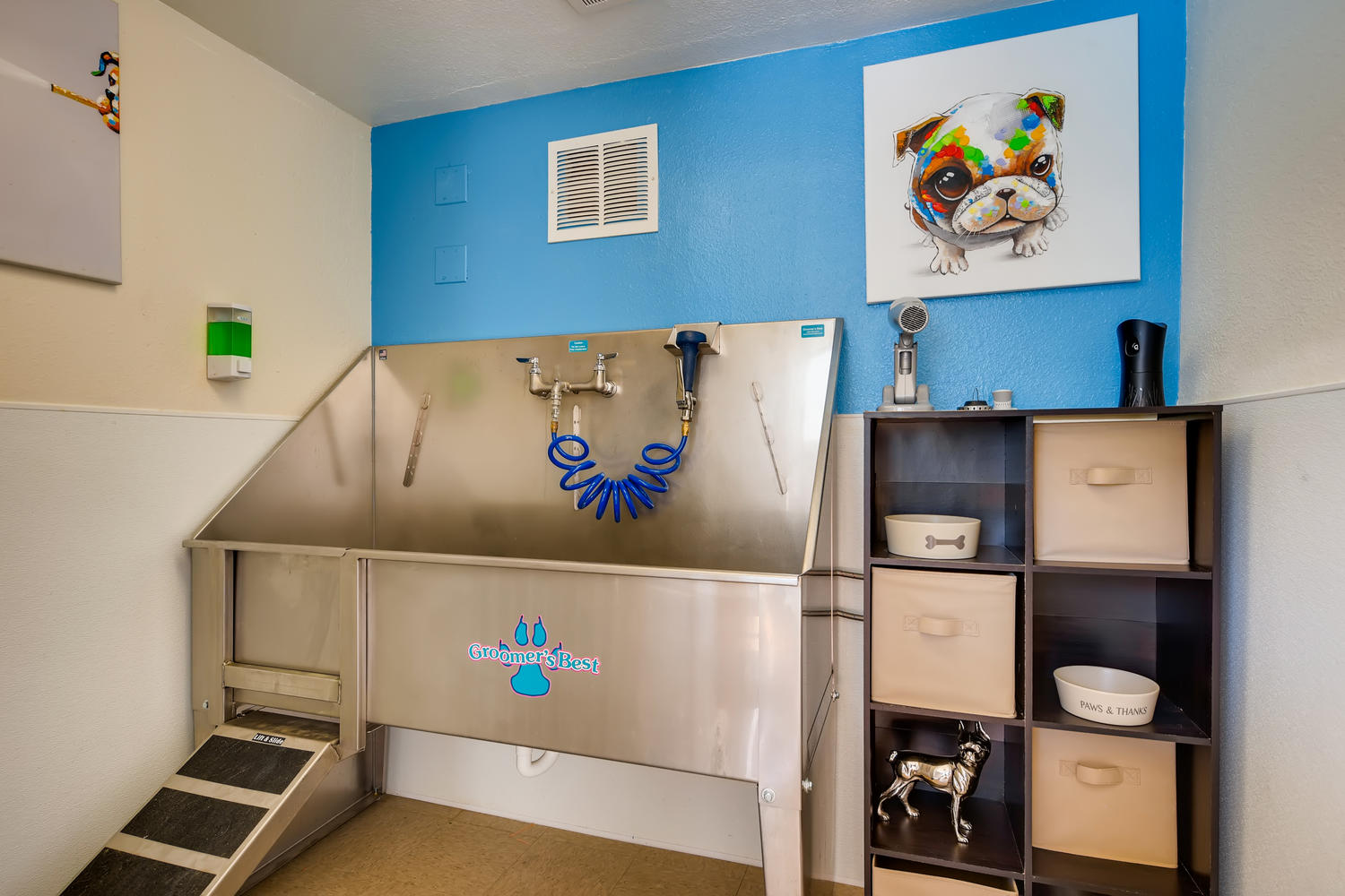 Dog wash