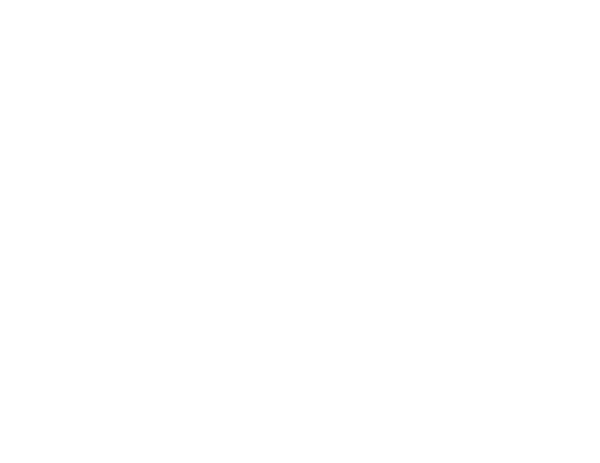 Swamp Rabbit Electric