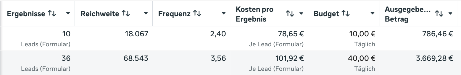 Meta-Werbeanzeigenmanager: Haus & Grund Mannheim — Leads und Kosten pro Lead